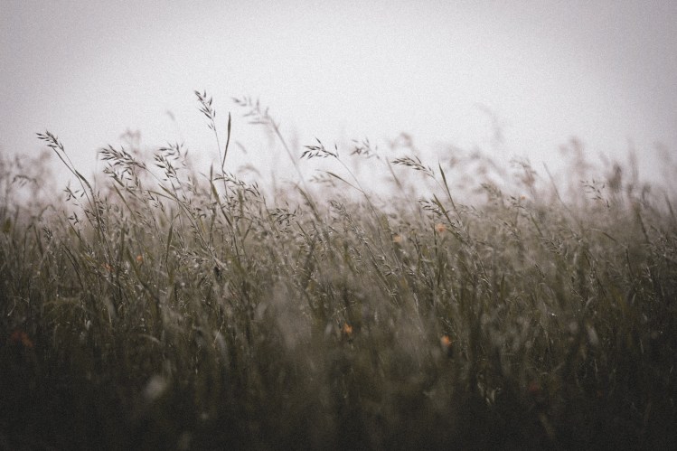 -2048482330686181877_157A3500