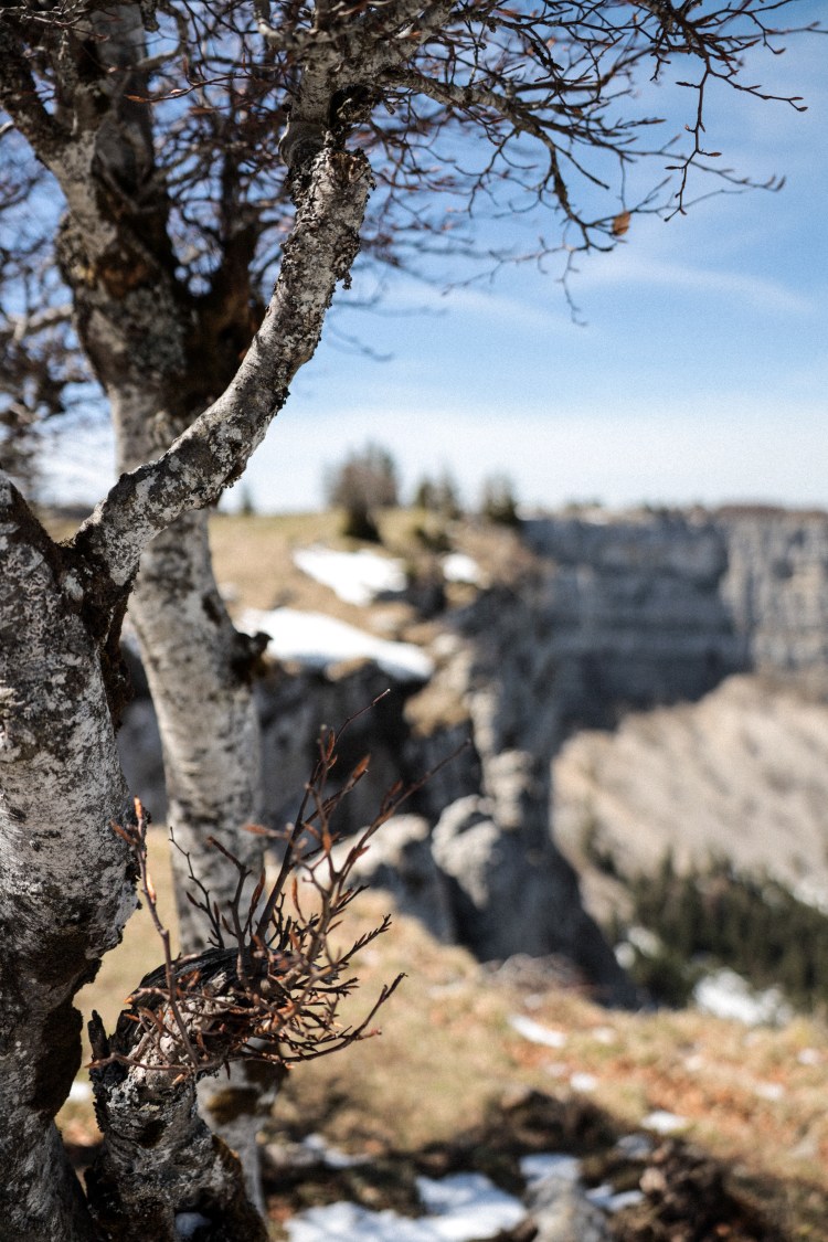 2717846447291729561_157A7031