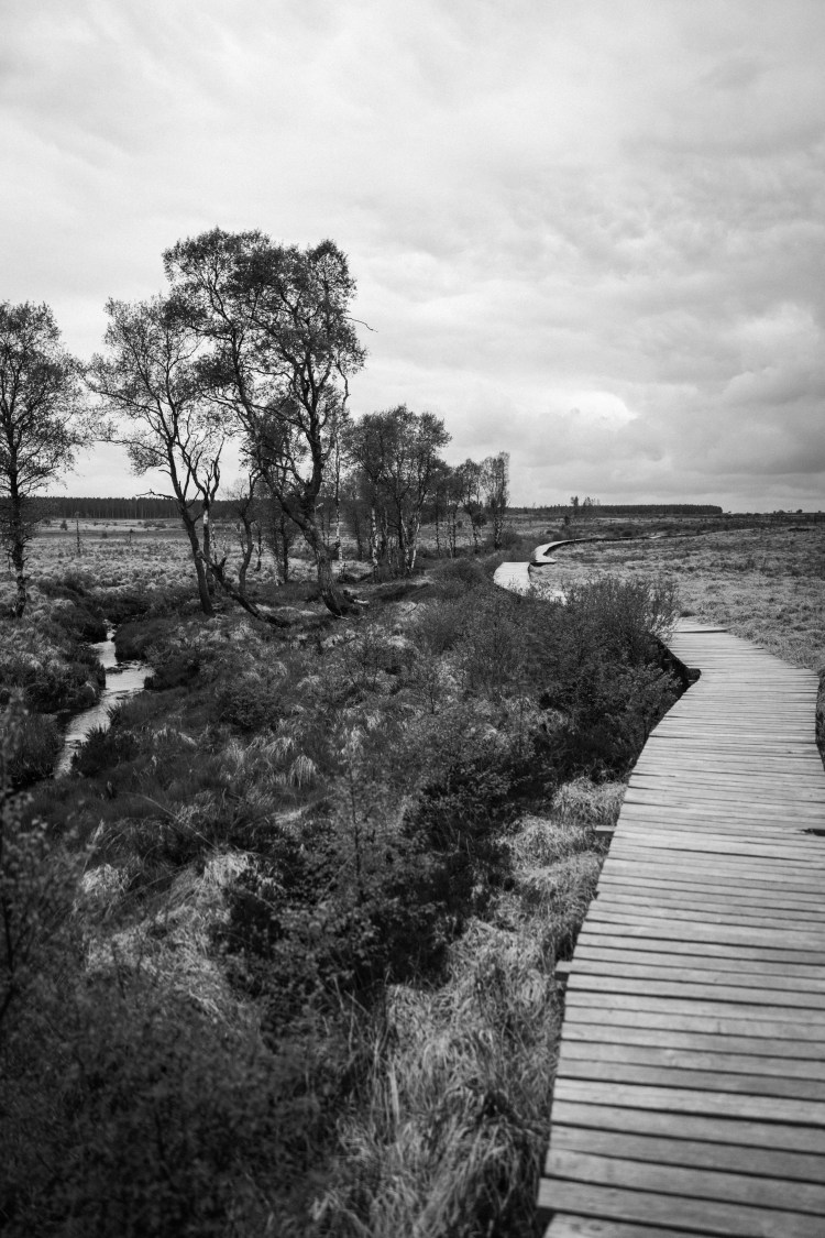 -277859733331694940_157A9446