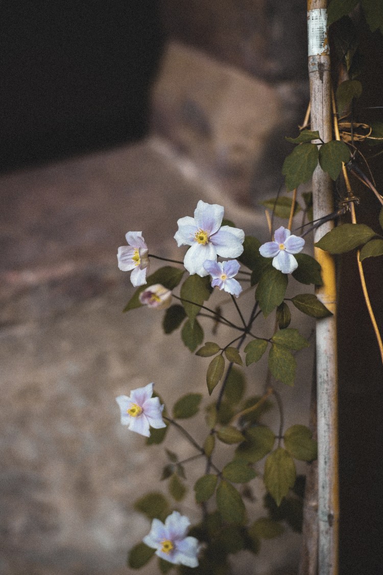 -629442227098492313_157A2938