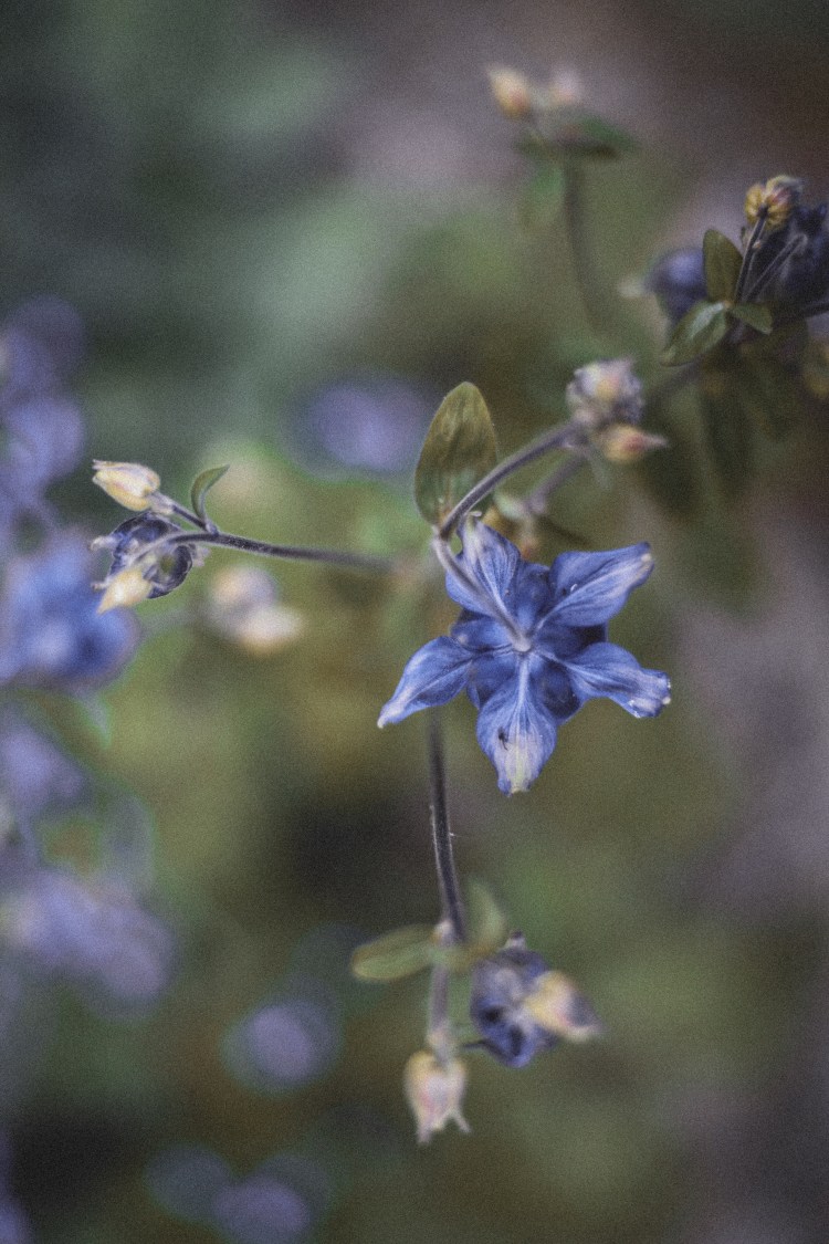 -7098620826972450272_157A7184